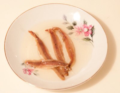 anchovies in oil